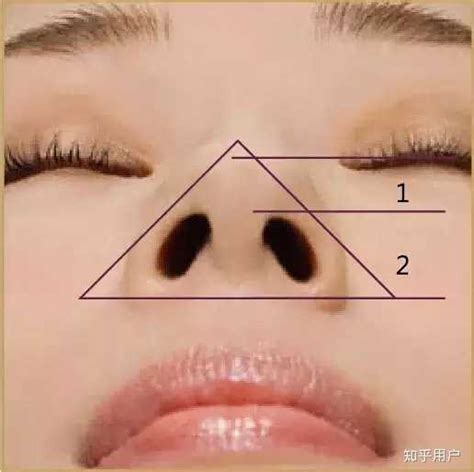 鼻孔三角形 面相